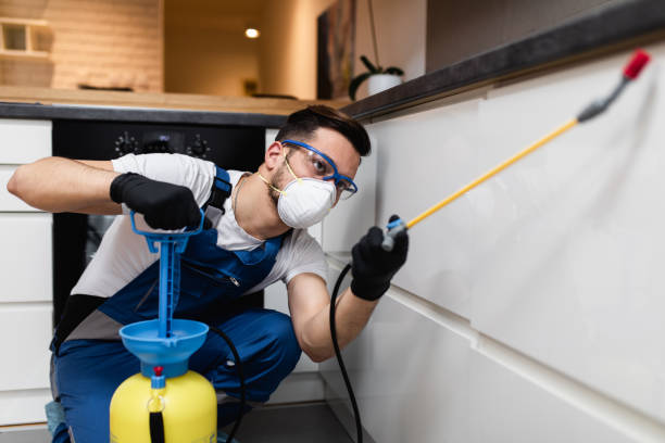 Best Bed Bug Extermination  in Granite Bay, CA
