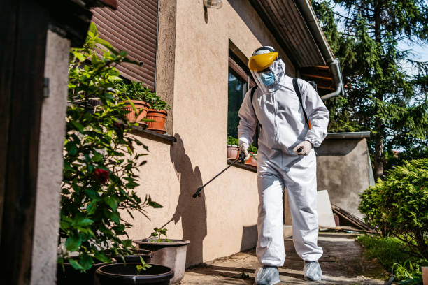 Best Rodent Control Near Me  in Granite Bay, CA
