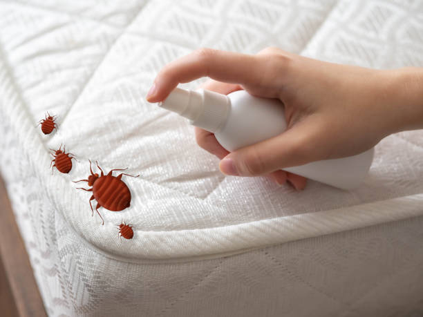 Best Commercial Pest Control Services  in Granite Bay, CA