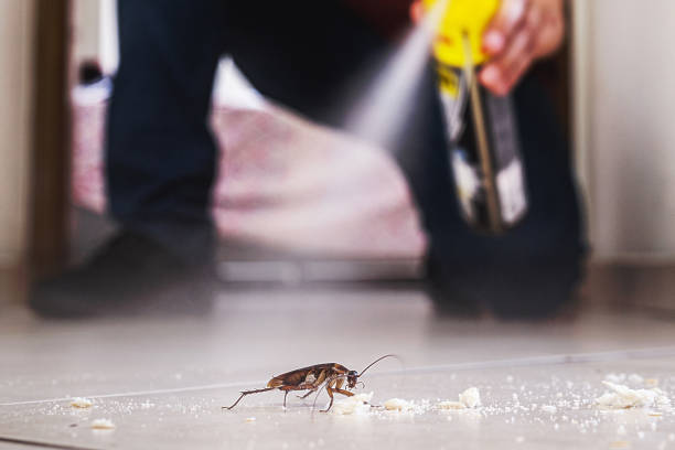 Best Cockroach Control Services  in Granite Bay, CA