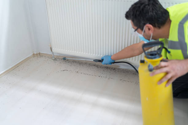 Best Termite Control Services  in Granite Bay, CA