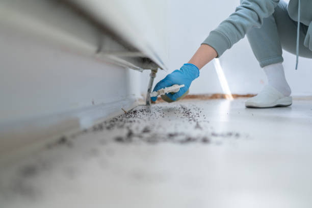 Best Best Pest Control Companies  in Granite Bay, CA